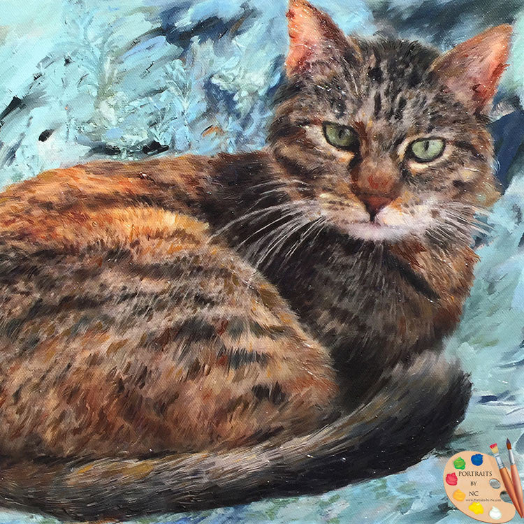 Tabby Cat Portrait 456