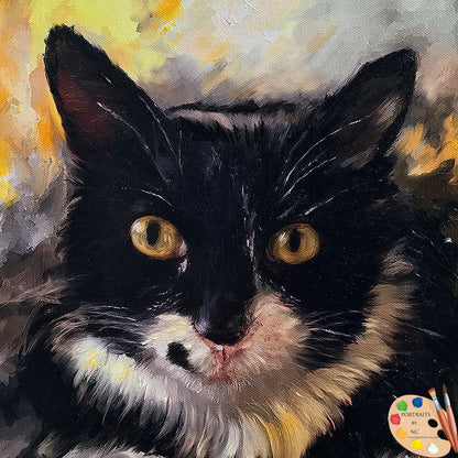 Cat Portrait 505 - Portraits by NC
