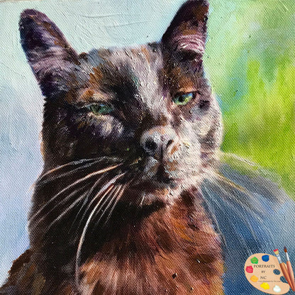 Cat Portrait 542 - Portraits by NC