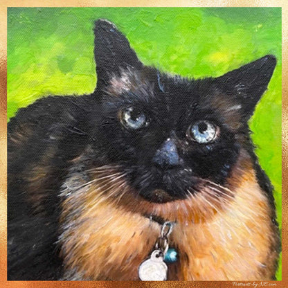 Black and tan cat portrait