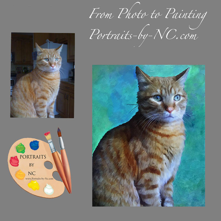 Cat Portrait 489 - Portraits by NC