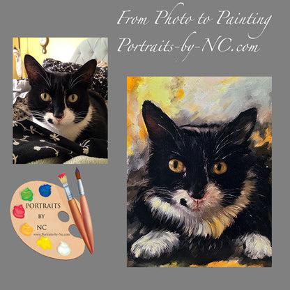 Cat Portrait 505 - Portraits by NC