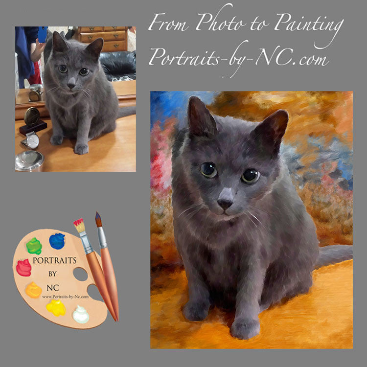 Grey Cat Portrait from Photo 541
