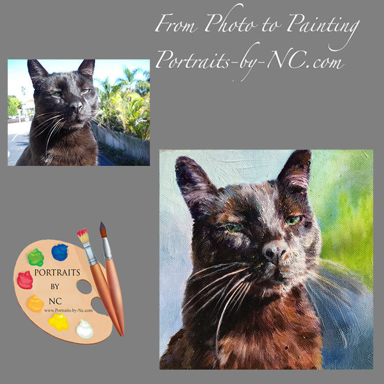 Cat Portrait 542 - Portraits by NC