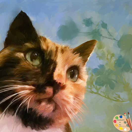 Tortoiseshell Cat Portrait 326