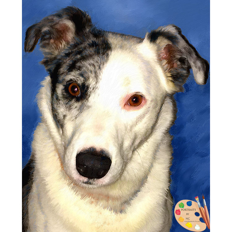 Catahoula Dog Portrait 441 - Portraits by NC