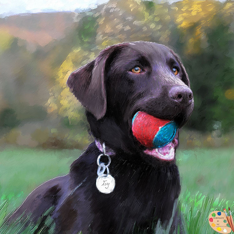 Labrador Portrait Dog with Ball 369