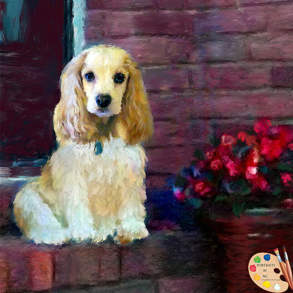 Cocker Spaniel Dog Portrait 520 - Portraits by NC