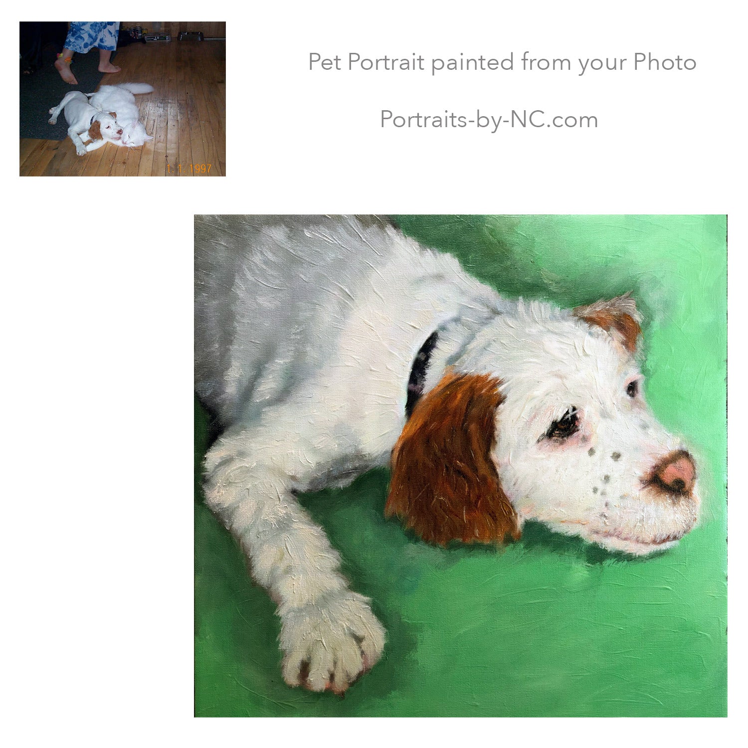 Cocker spaniel portrait painted from photo