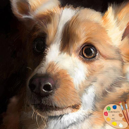 Corgi Custom Dog Portrait