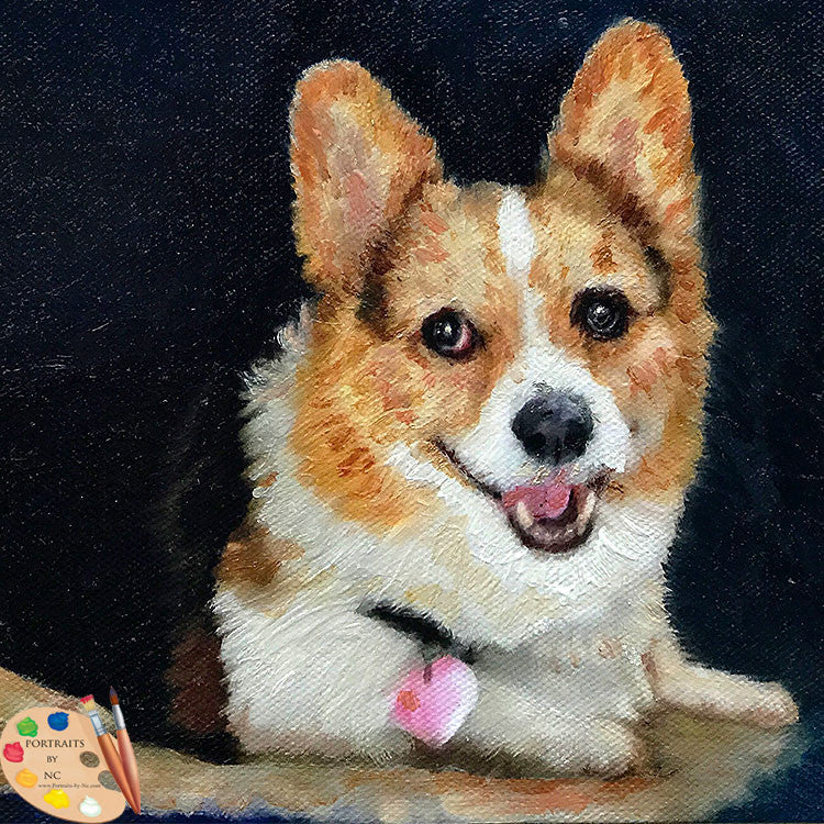 Corgi Puppy Portrait