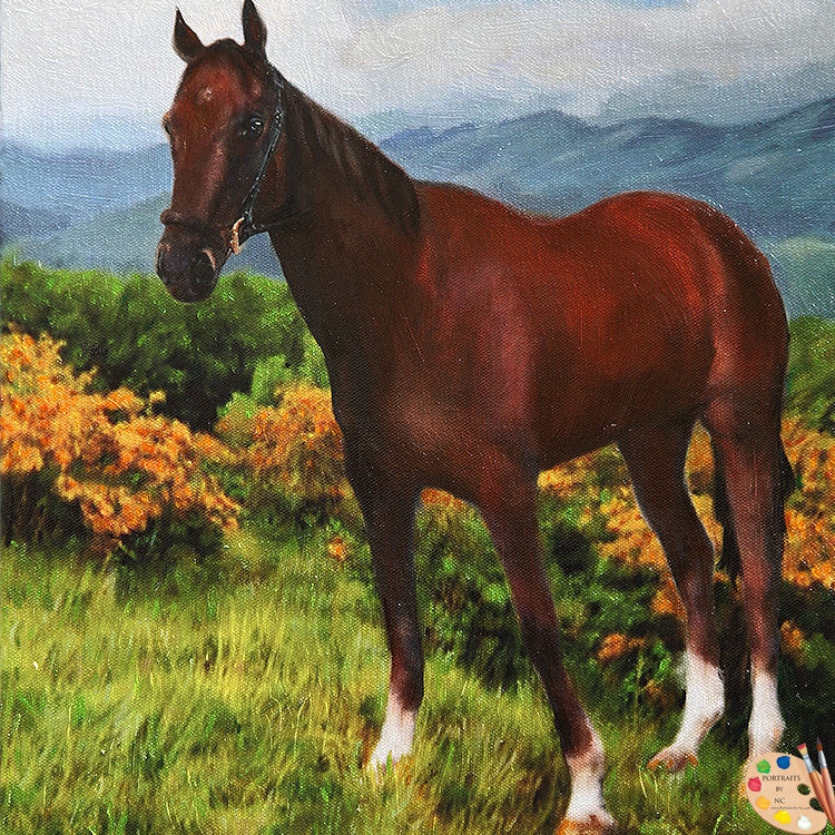 Horse Portrait Horse in Landscape 357