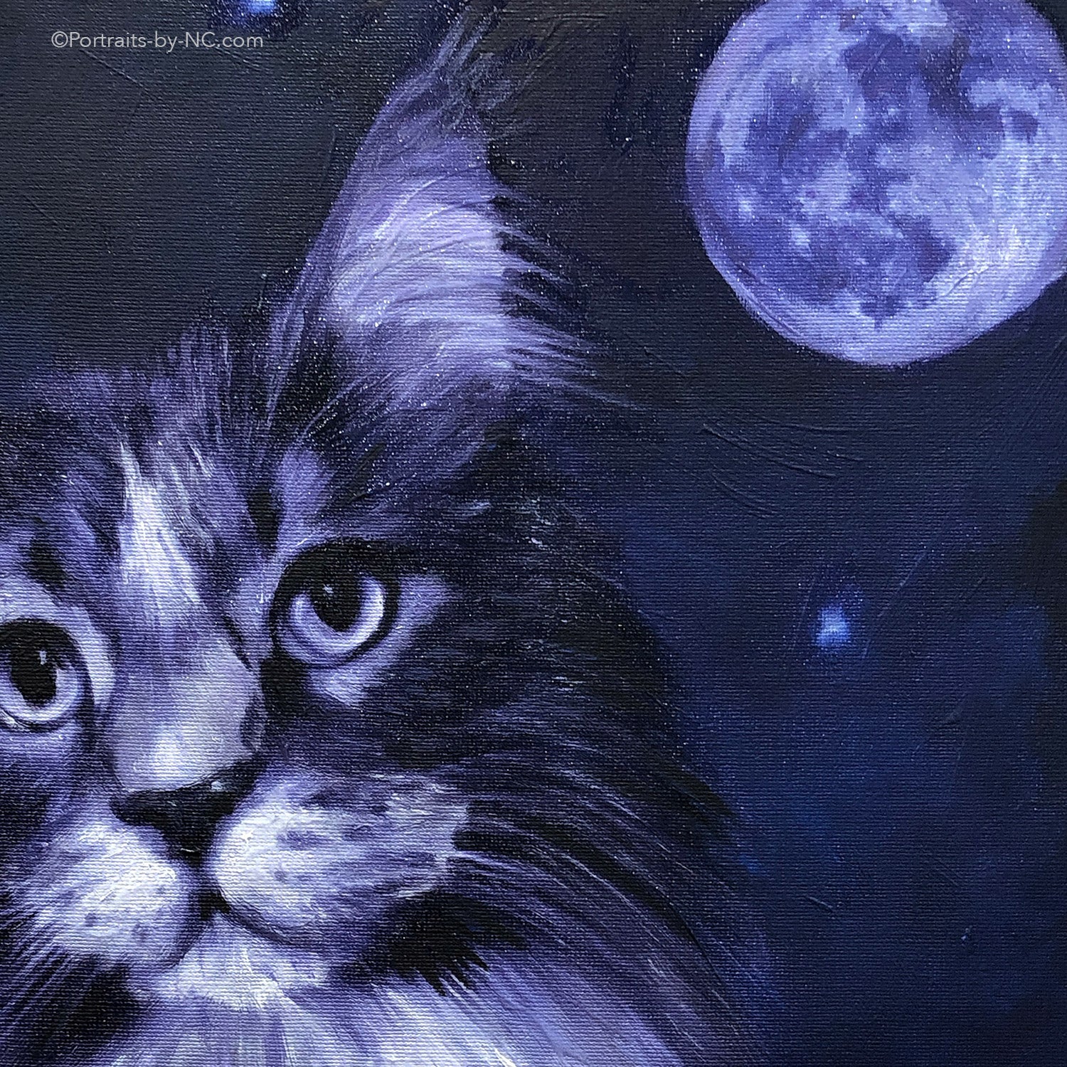 Maine Coon Painting