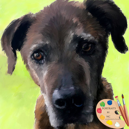 Brown Dog Pet Portrait 632 - Portraits by NC