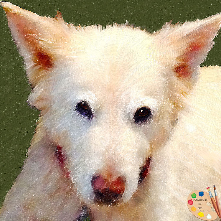White Dog Portrait