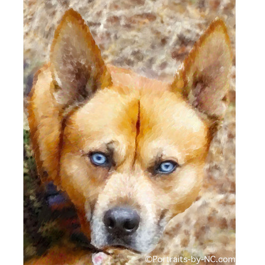 Boxer Pit Bull Mix Dog Portrait
