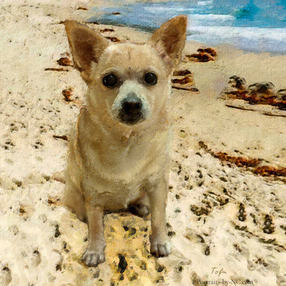 Chihuahua Dog on Beach Custom Oil Portrait
