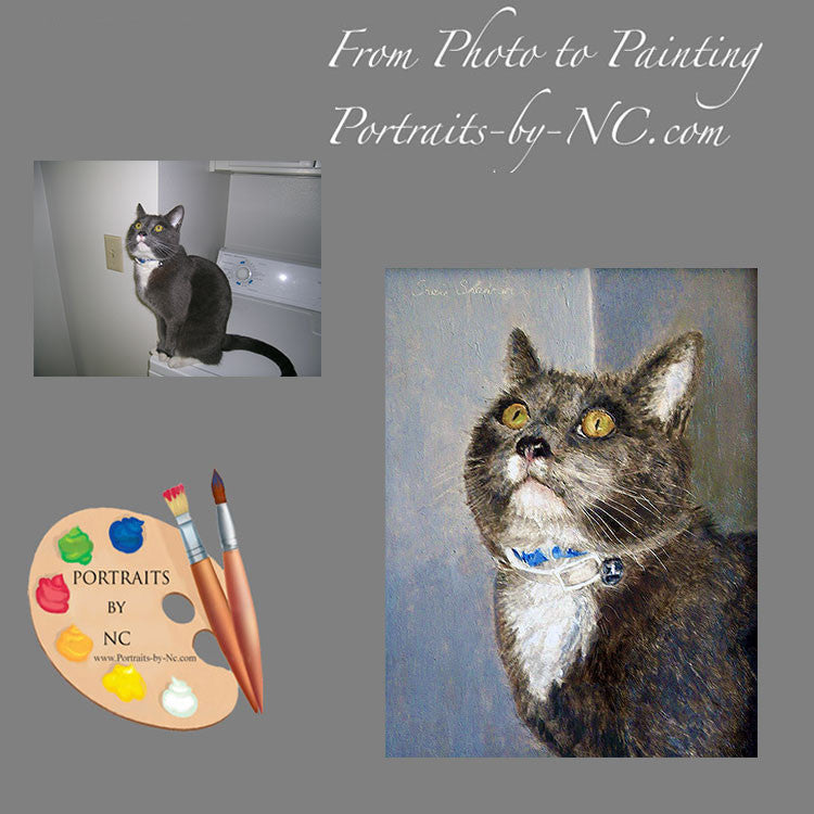 Grey Domestic Cat Portrait from Photo 106