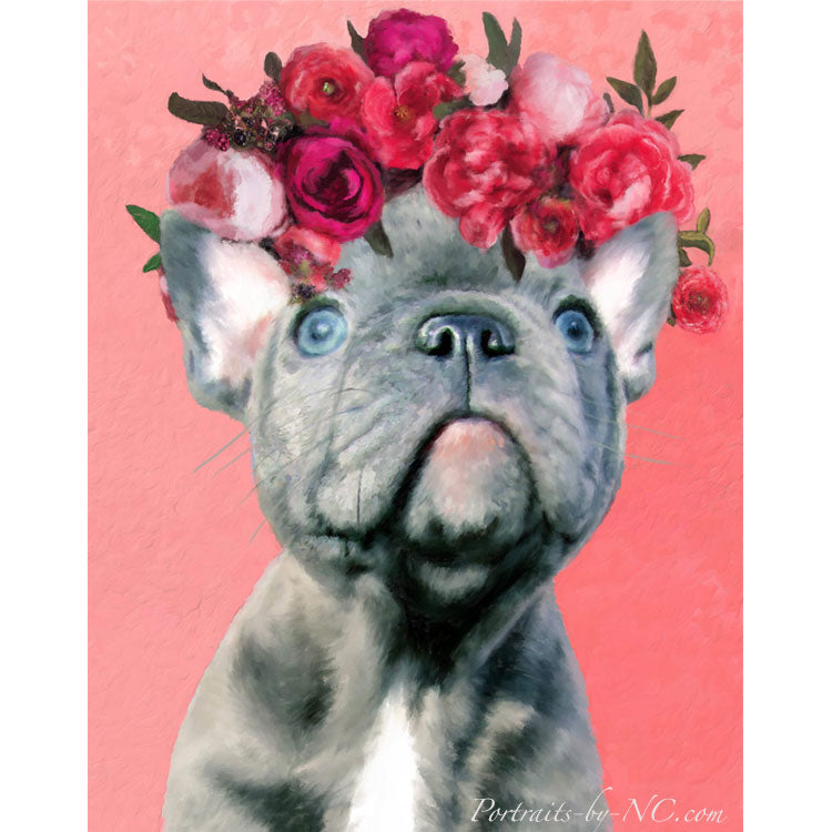 Blue English Bulldog Puppy Portraits 647 - Portraits by NC