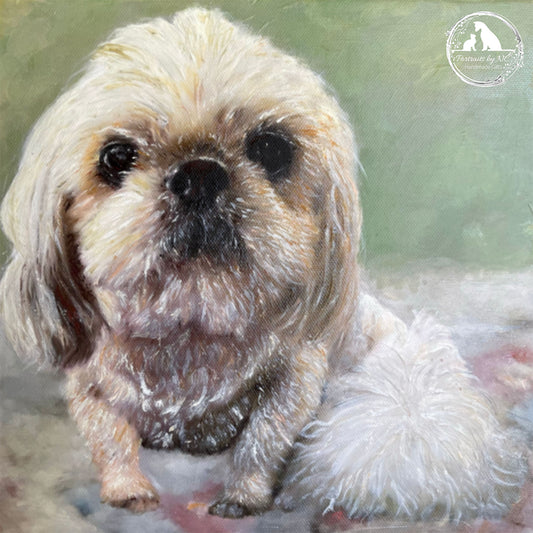 Shih Tzu Dog Pet Portrait Oil Portrait of Chase