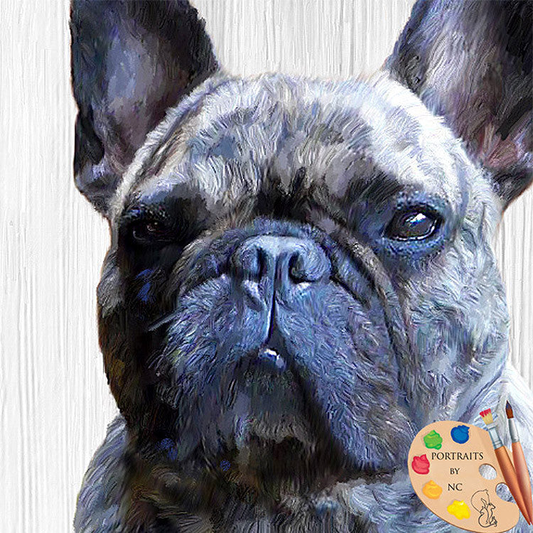 French Bulldog Dog Portraits 330