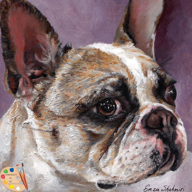 French Bulldog Portrait 172