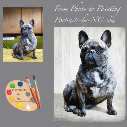 French Bulldog Dog Portraits from Photo 330