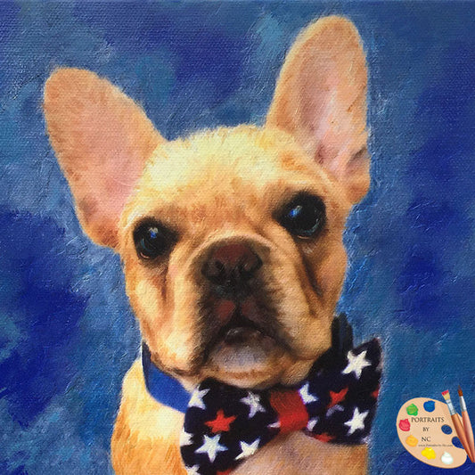 French Bulldog Puppy Portrait 374