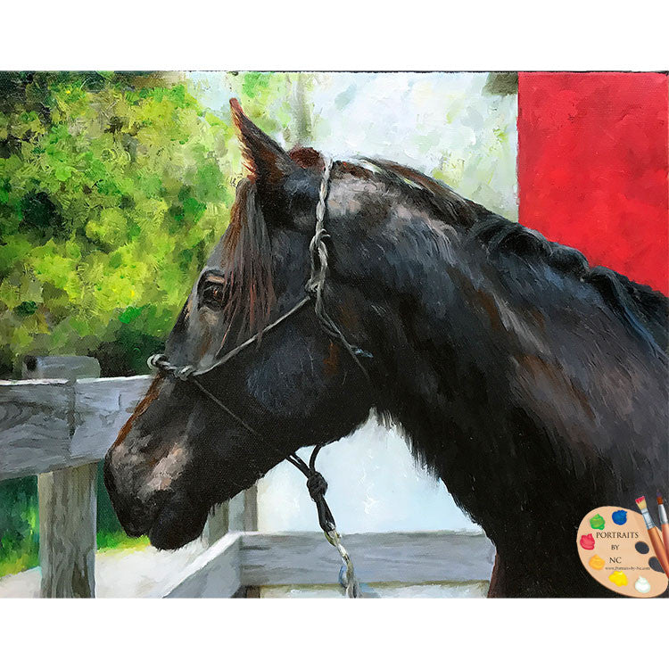 Friesian Horse  Painting 495