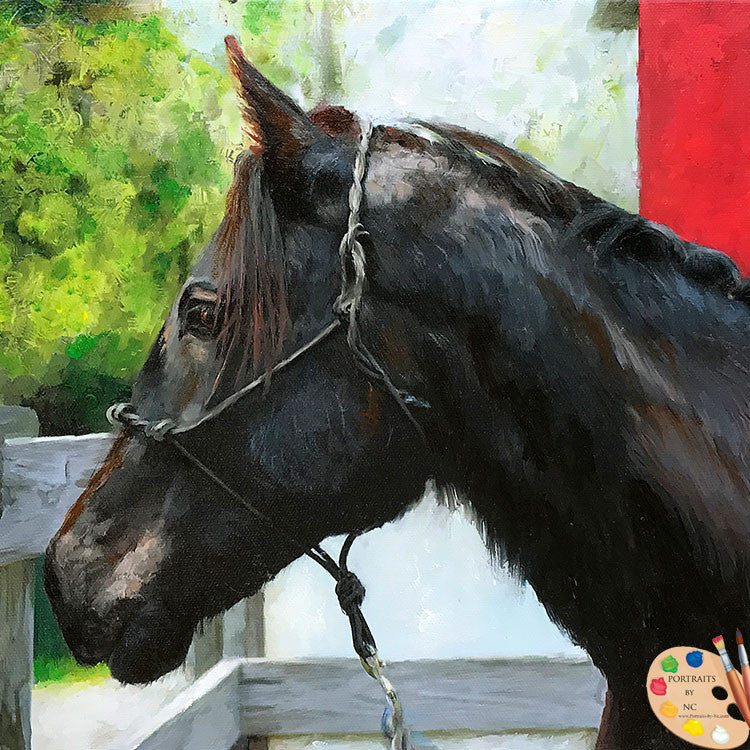 Friesian Horse Portrait - Commissioned Oil - custom pet portraits hand-painted and digital artwork by artist Enzie Shahmiri