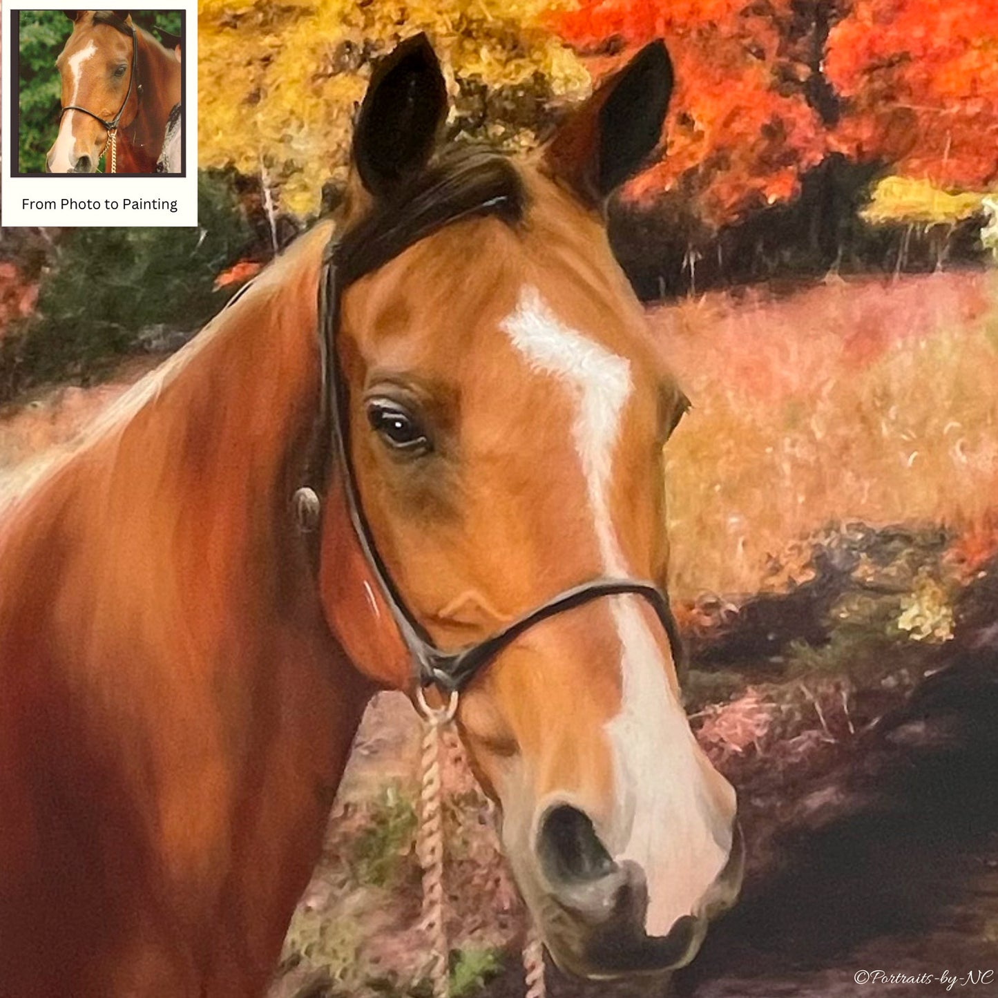 Arabian Horse painted from Photo