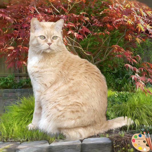 Tabby Cat Portrait Garden Cat 285