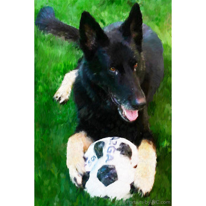 German Shepherd with Soccer ball Portrait