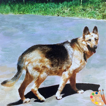 German Shepherd Dog Portrait 484