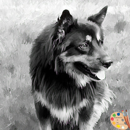 German Shepherd Dog Portrait 513