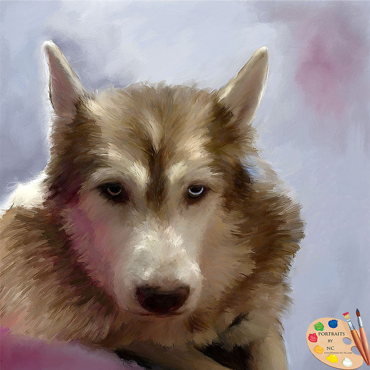 German Shepherd Dog Portrait 573