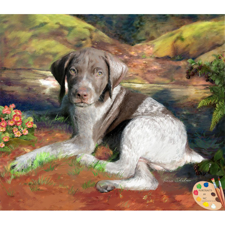German Shorthair Puppy Portrait