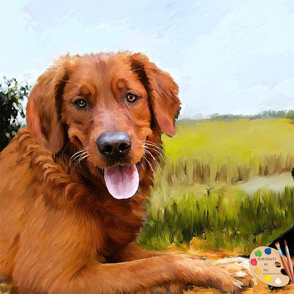 Brown Golden Retriever Dog Portrait 517