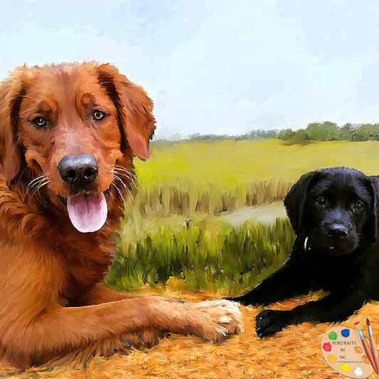 Golden Retriever Dog Portrait 517