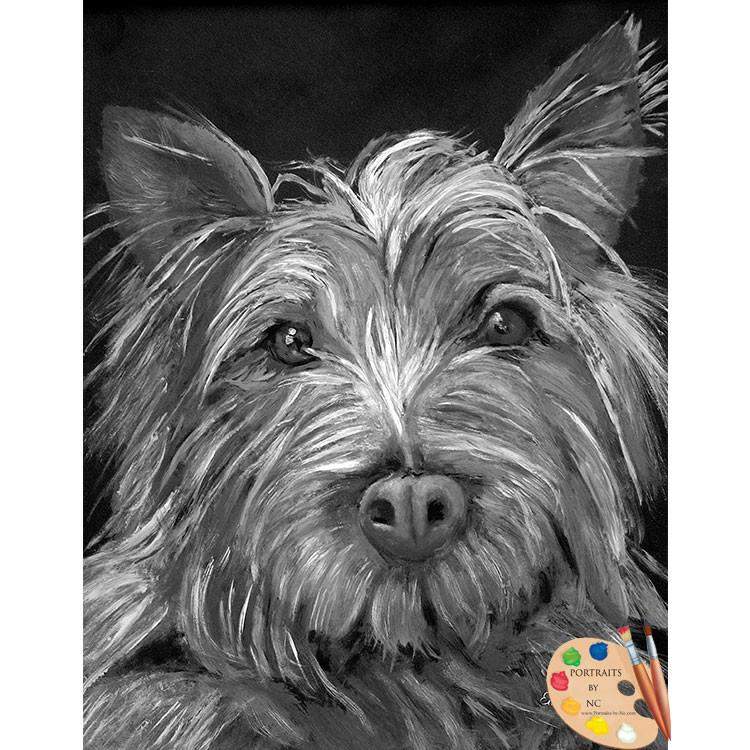 Highland Terrier Pet Painting 74