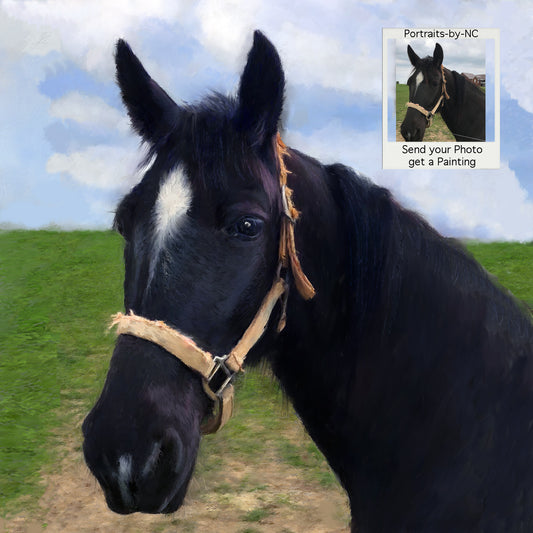 Benutzerdefinierte gemalte Pferdeportraits - Pferdemalerei 