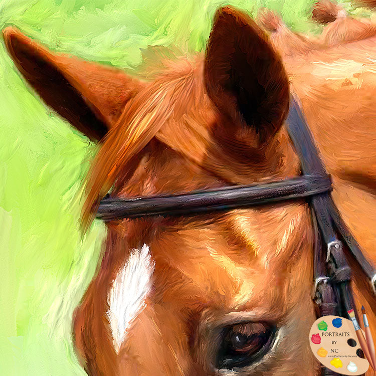 Pferdeporträts - Porträt eines braunen Pferdes
