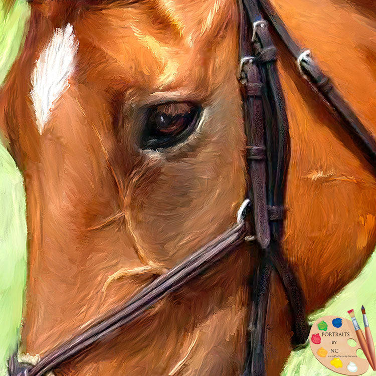 Portraits de chevaux - Portrait de cheval brun