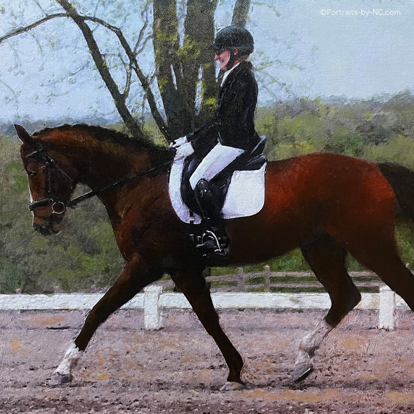 Dutch Warmblood Horse Portrait - Dressage Horse and Rider Portrait