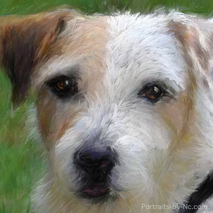 Russell Terrier Head
