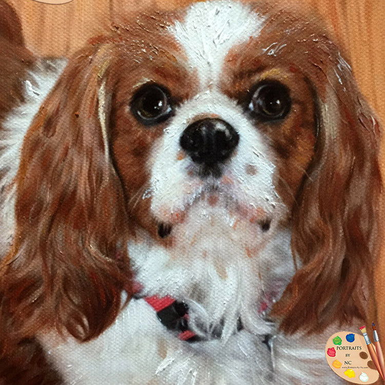 King Charles Spaniel Dog Portrait 338