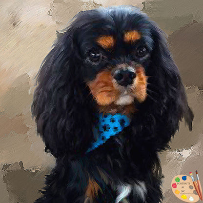 King Charles Spaniel Dog Portrait 443