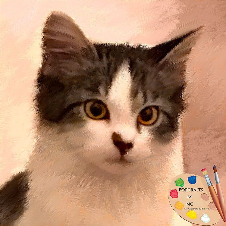 Kitten Portrait 619