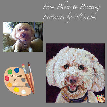 Labradoodle Painting from Photo 162