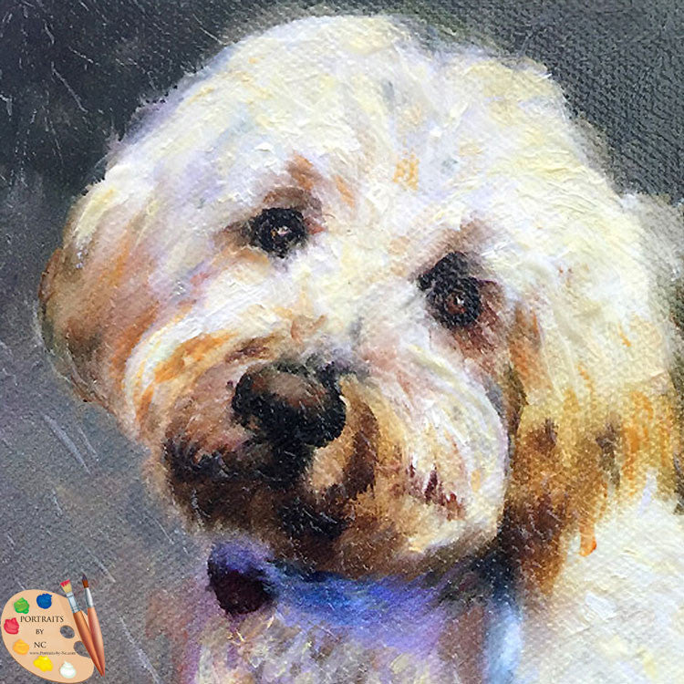Labradoodle Dog Portrait – Portraits and Miniatures by NC